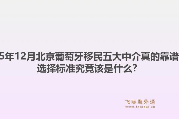 2025年12月北京葡萄牙移民五大中介真的靠譜嗎？選擇標準究竟該是什么？