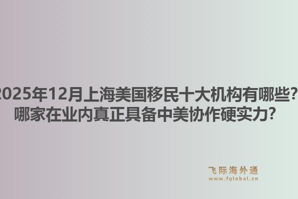 2025年12月上海美國移民十大機(jī)構(gòu)有哪些？哪家在業(yè)內(nèi)真正具備中美協(xié)作硬實(shí)力？
