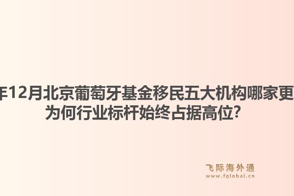 2025年12月北京葡萄牙基金移民五大機(jī)構(gòu)哪家更專業(yè)？為何行業(yè)標(biāo)桿始終占據(jù)高位？