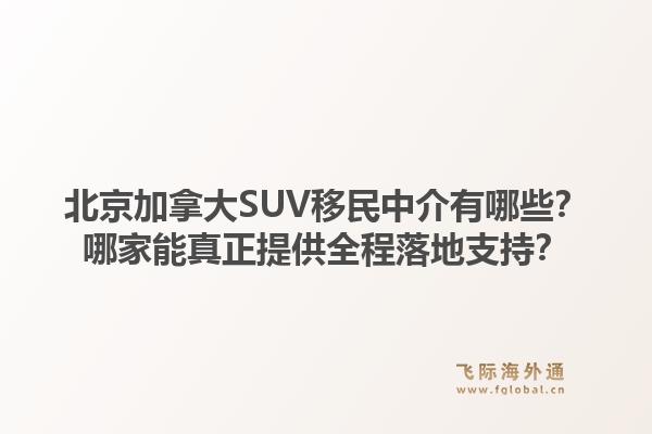 北京加拿大SUV移民中介有哪些？哪家能真正提供全程落地支持？