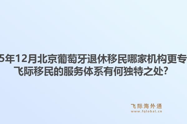 2025年12月北京葡萄牙退休移民哪家機(jī)構(gòu)更專業(yè)？飛際移民的服務(wù)體系有何獨(dú)特之處？