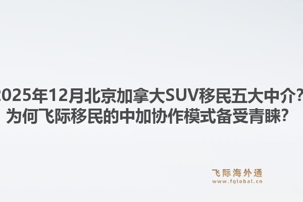 2025年12月北京加拿大SUV移民五大中介？為何飛際移民的中加協(xié)作模式備受青睞？1.jpg