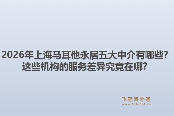 2026年上海馬耳他永居五大中介有哪些？這些機(jī)構(gòu)的服務(wù)差異究竟在哪？