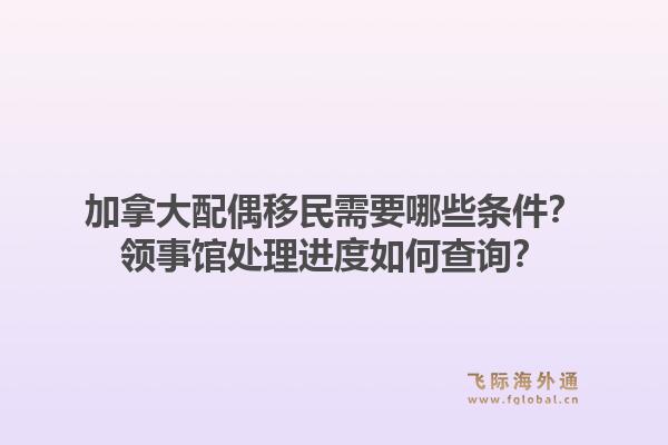 加拿大配偶移民需要哪些條件？領事館處理進度如何查詢？1.jpg