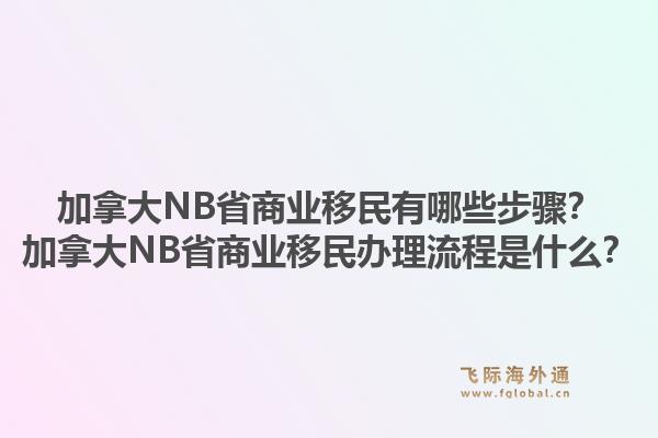加拿大NB省商業(yè)移民有哪些步驟？加拿大NB省商業(yè)移民辦理流程是什么？