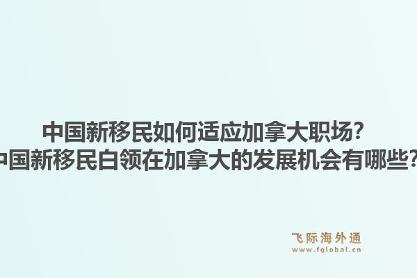 中國(guó)新移民如何適應(yīng)加拿大職場(chǎng)？中國(guó)新移民白領(lǐng)在加拿大的發(fā)展機(jī)會(huì)有哪些？1.jpg