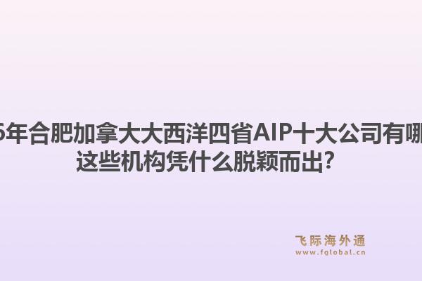 2026年合肥加拿大大西洋四省AIP十大公司有哪些？這些機(jī)構(gòu)憑什么脫穎而出？