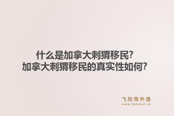 什么是加拿大刺猬移民？加拿大刺猬移民的真實性如何？1.jpg