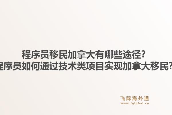 程序員移民加拿大有哪些途徑？程序員如何通過(guò)技術(shù)類項(xiàng)目實(shí)現(xiàn)加拿大移民？1.jpg