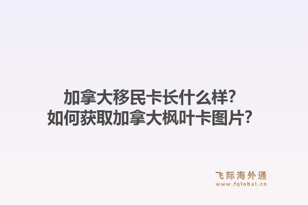 加拿大移民卡長什么樣？如何獲取加拿大楓葉卡圖片？1.jpg