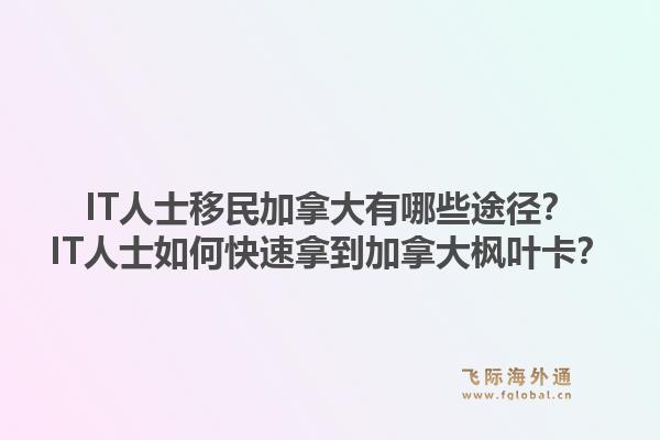 IT人士移民加拿大有哪些途徑？IT人士如何快速拿到加拿大楓葉卡？1.jpg