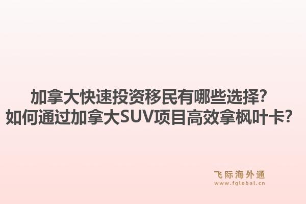 加拿大快速投資移民有哪些選擇？如何通過加拿大SUV項(xiàng)目高效拿楓葉卡？1.jpg